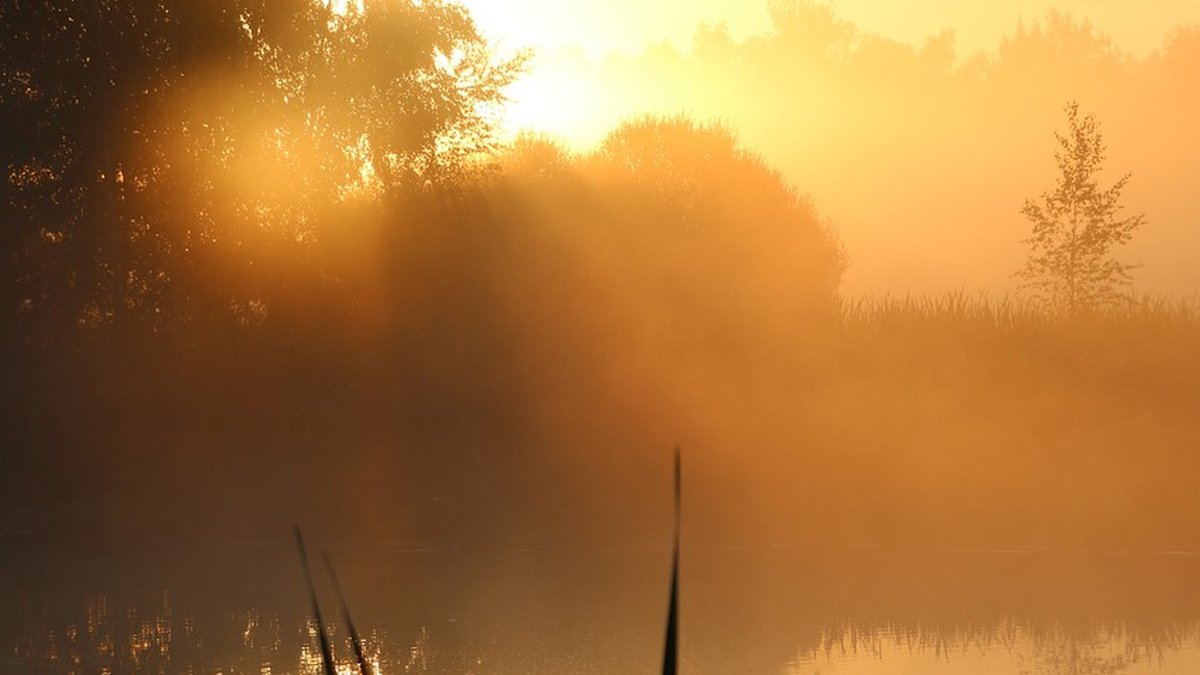 Planning a Family Nature Day by Water